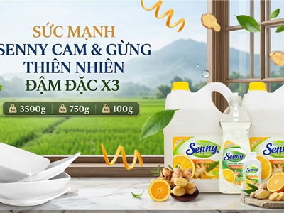 Nước Rửa Chén Senny Gừng Cam – Giải pháp làm sạch dầu mỡ hiệu quả, hương thơm tự nhiên cho gian bếp hiện đại