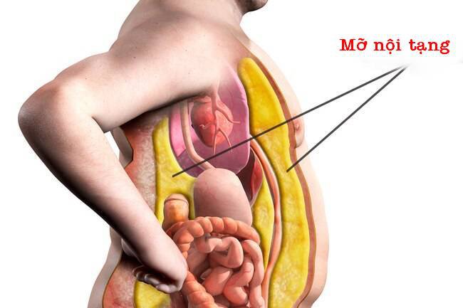 Uống gì tiêu mỡ nội tạng? 7 đồ uống giảm mỡ nội tạng hiệu quả 1