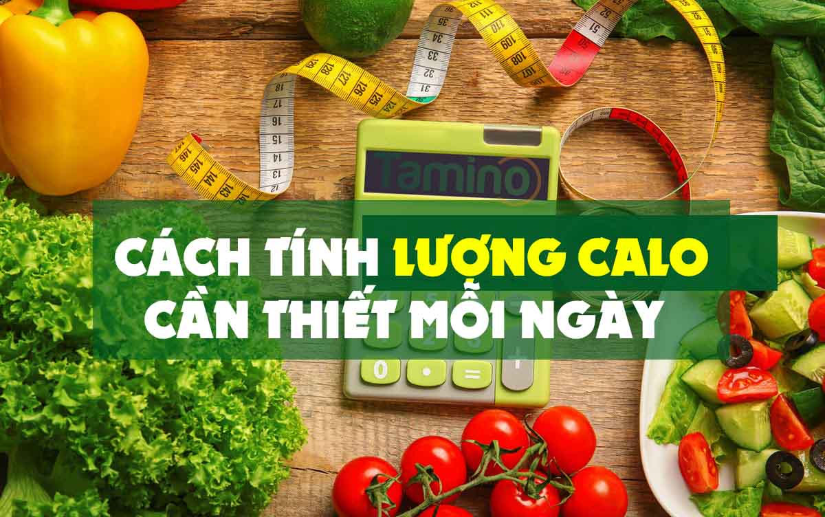 Cách tính calo cho cơ thể giúp kiểm soát cân nặng hiệu quả