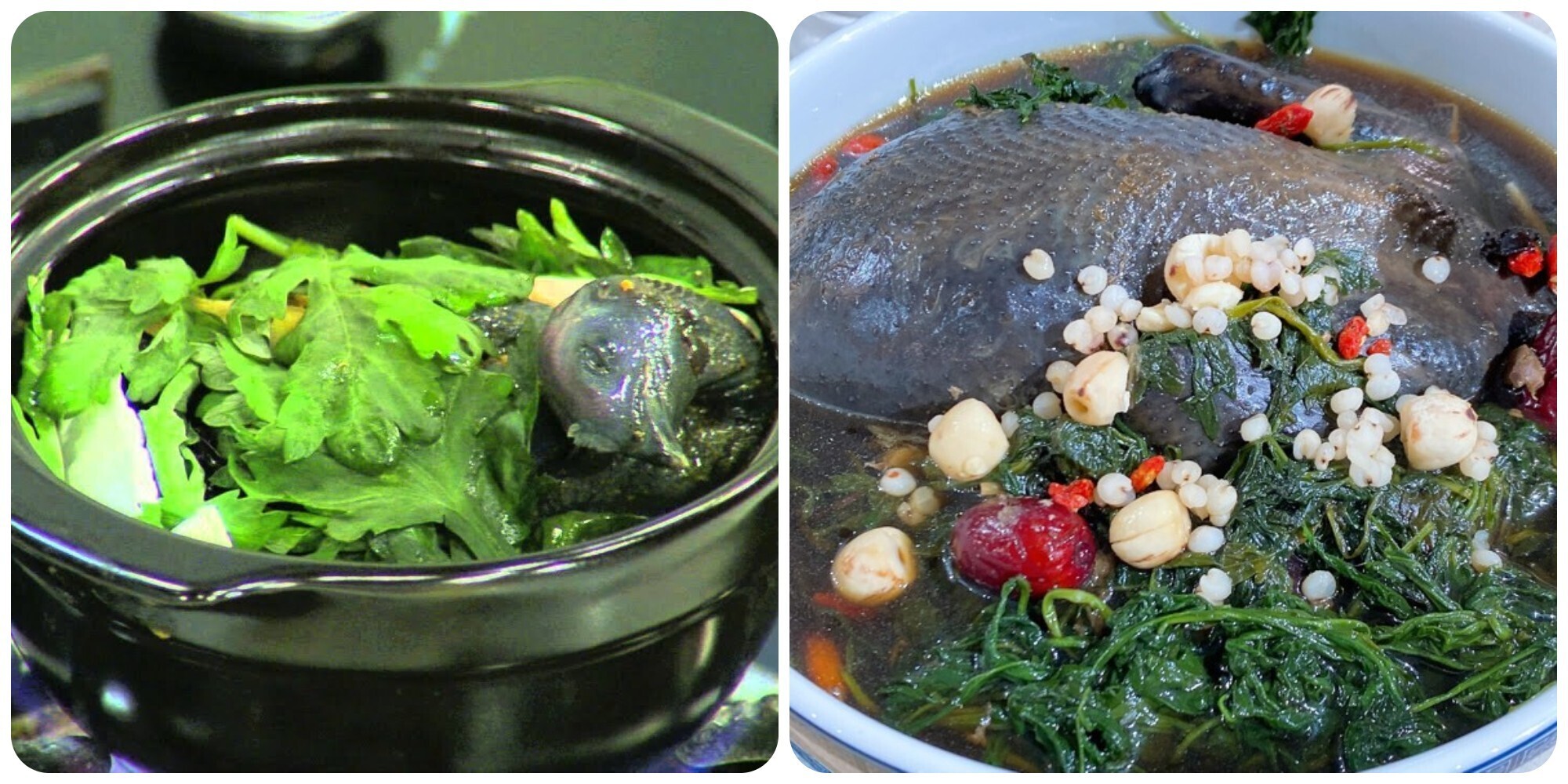 Nấu 6 Món Canh Từ Ngải Cứu – “Thần Dược Xanh” Cho Sức Khỏe Phụ Nữ